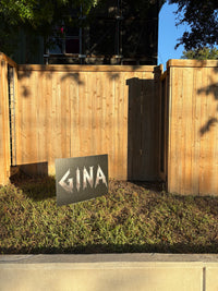 TEAM GINA - SCARY FONT, SENSIBLE GOVERNANCE